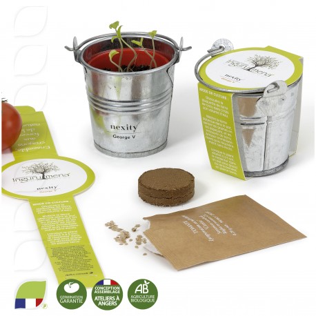 Kit de plantation en zinc avec des graines à faire pousser