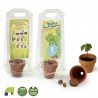 Kit de plantation Mini serre pour cultiver 1 pot de graines