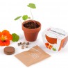 Kit de plantation 55mm terre cuite