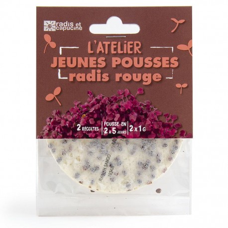 Tapis jeunes pousses radis rouge bio