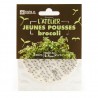 Tapis jeunes pousses brocoli Bio