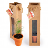 Petit plant de pin en pot terre et sac kraft brun