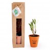 Petit plant de laurier rose en pot terre et sac prestige