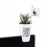 Porte plante d'ordinateur quadri - HAWORTHIA