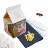 Mini coffret DIY Bee-Wrap version quadri