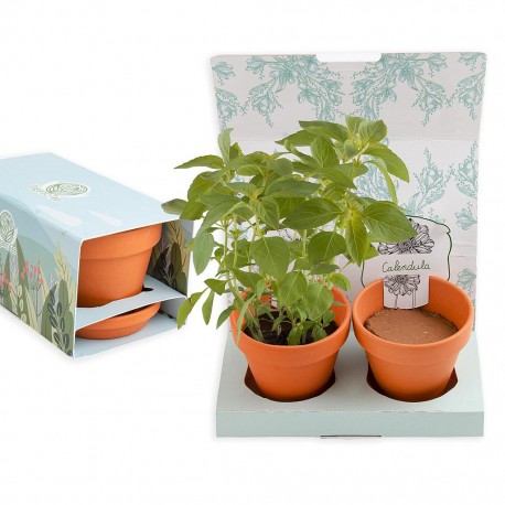 Coffret de jardinage 2 pots terre cuite