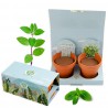 Coffret de jardinage 2 pots terre cuite