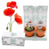 Coffret de jardinage 2 pots terre cuite