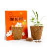 Kit avec pot fibres de coco biodégradable et 100% BIO