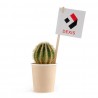 Cactus en gobelet carton