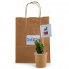 Cactus en gobelet carton