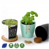 Kit de plantation Petit pot aimanté pour plantation