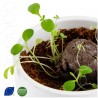 Oeuf seed bomb BIO en pochon toile de jute 75x100 mm